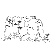 Pena Ancha